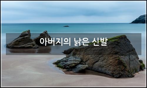오늘의 이미지