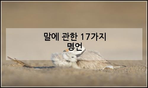 오늘의 이미지