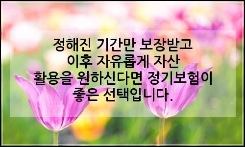 오늘의 이미지