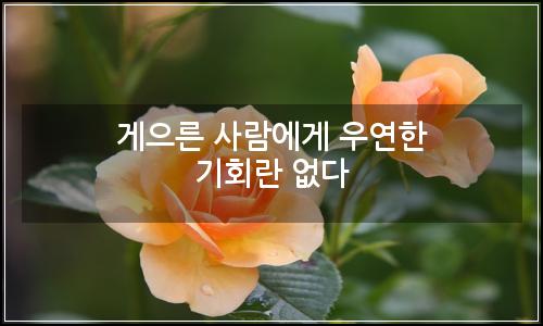 오늘의 이미지