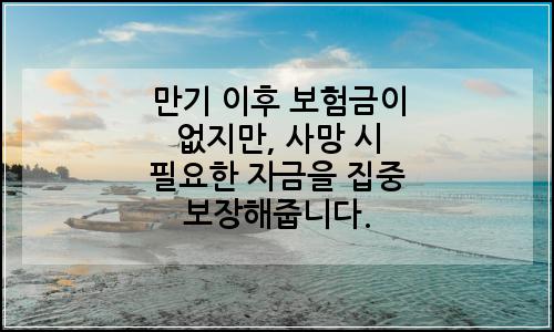 오늘의 이미지