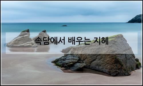오늘의 이미지