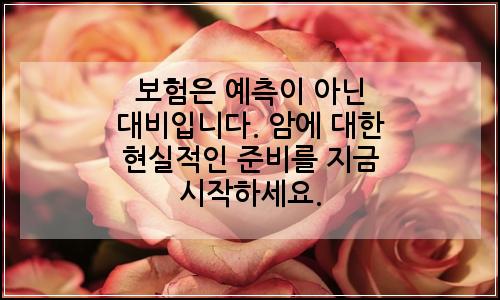 오늘의 이미지