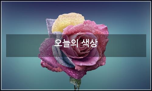 오늘의 이미지