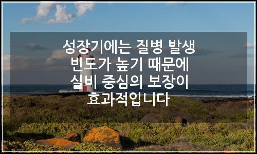 오늘의 이미지