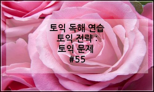 오늘의 이미지