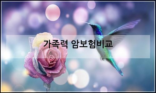 오늘의 이미지