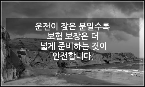 오늘의 이미지