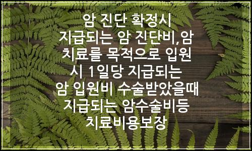오늘의 이미지