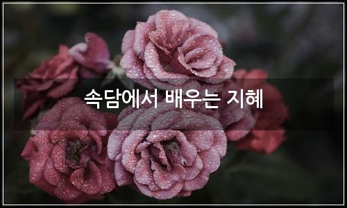 오늘의 이미지