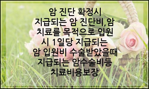 오늘의 이미지