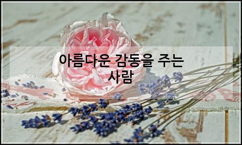 오늘의 이미지