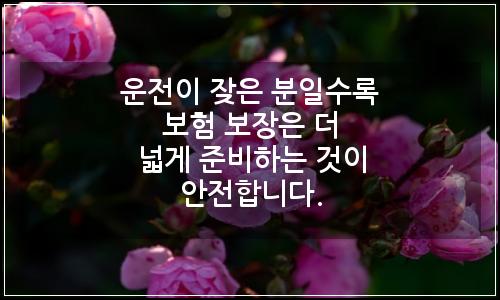 오늘의 이미지