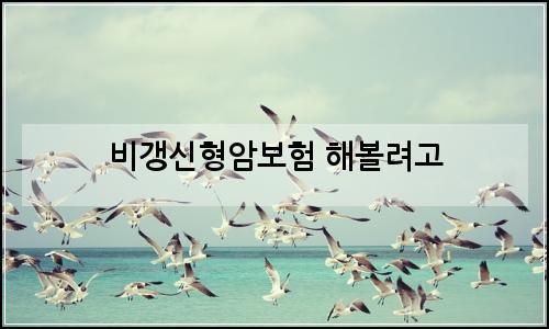 오늘의 이미지