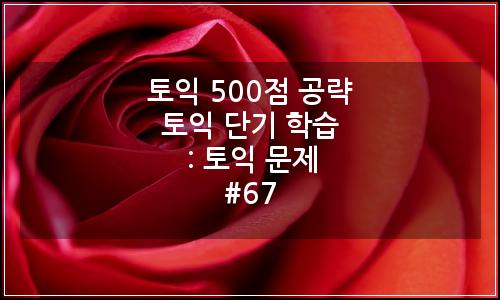 오늘의 이미지