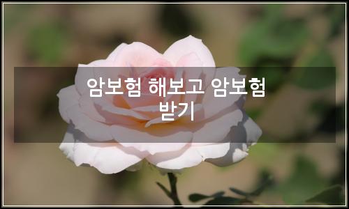 오늘의 이미지