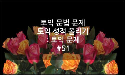 오늘의 이미지