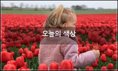 오늘의 이미지