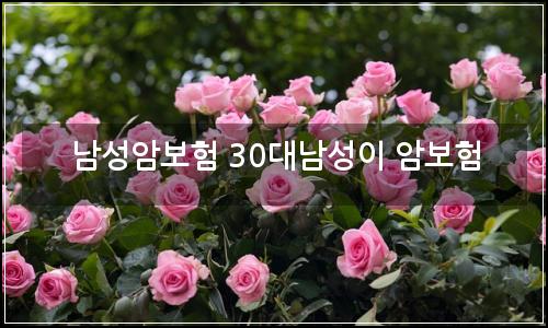 오늘의 이미지