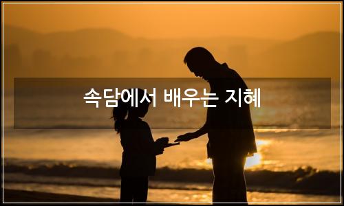 오늘의 이미지