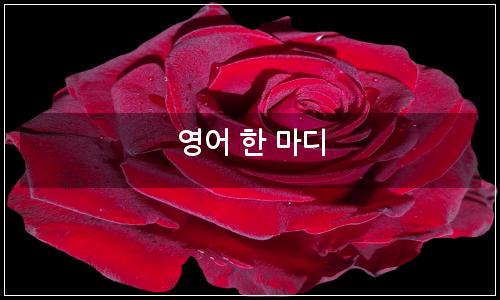 오늘의 이미지