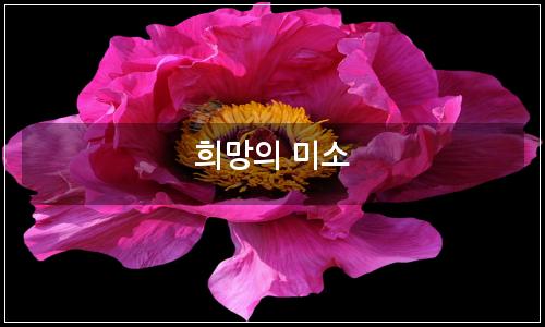 오늘의 이미지