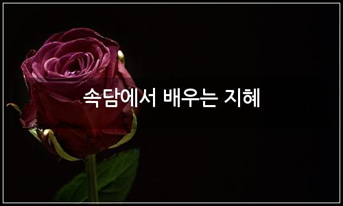 오늘의 이미지