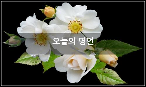 오늘의 이미지