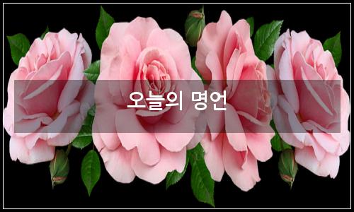 오늘의 이미지