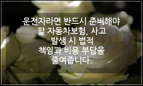 오늘의 이미지