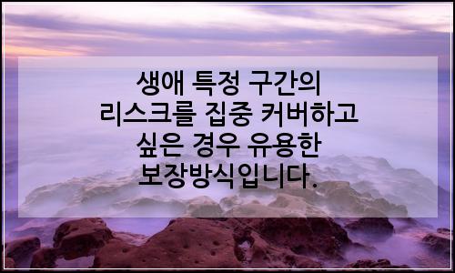 오늘의 이미지