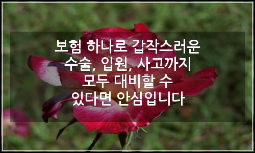 오늘의 이미지