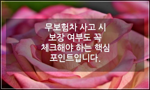 오늘의 이미지
