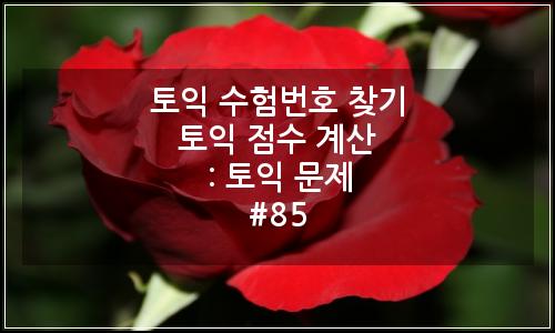 오늘의 이미지
