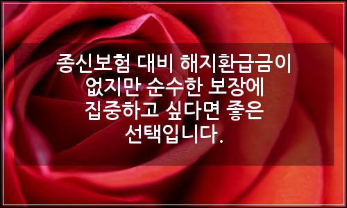 오늘의 이미지