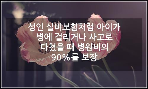 오늘의 이미지