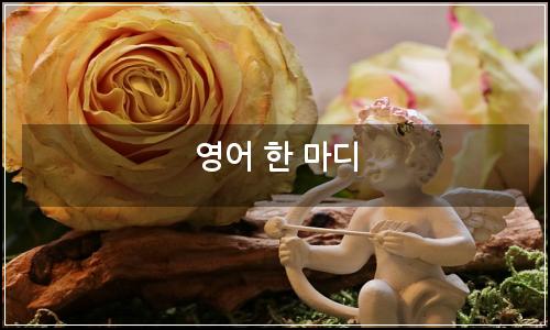 오늘의 이미지