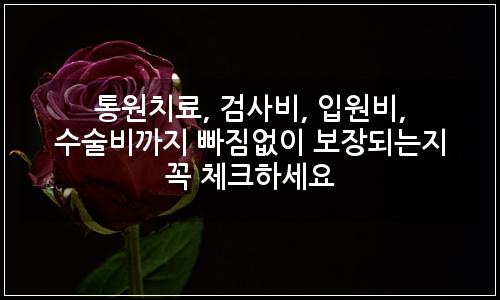 오늘의 이미지