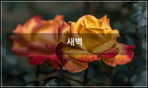 오늘의 이미지