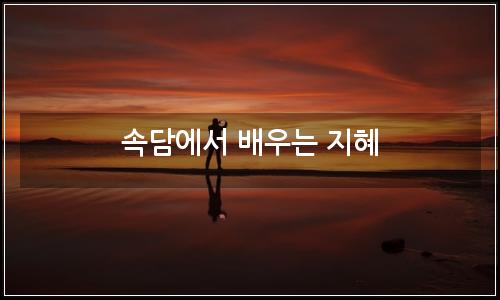 오늘의 이미지