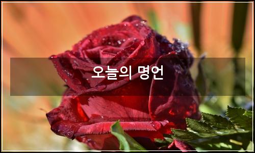 오늘의 이미지