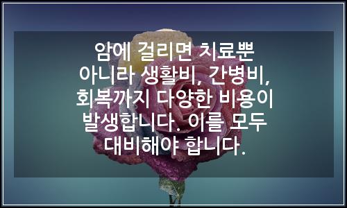 오늘의 이미지