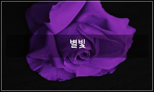 오늘의 이미지