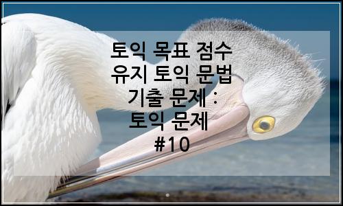 오늘의 이미지