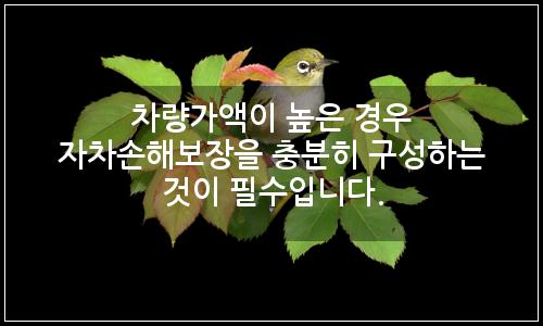 오늘의 이미지