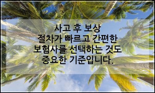 오늘의 이미지
