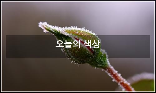 오늘의 이미지