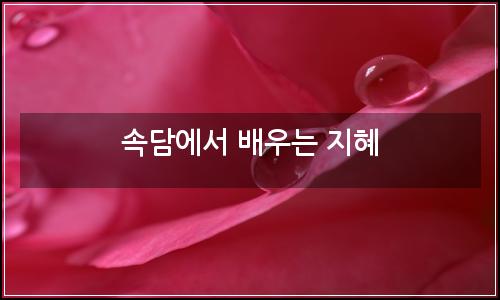 오늘의 이미지