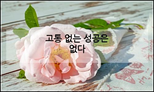 오늘의 이미지