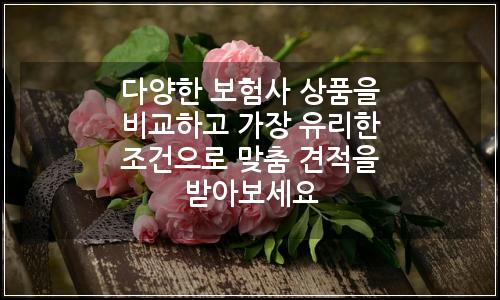 오늘의 이미지